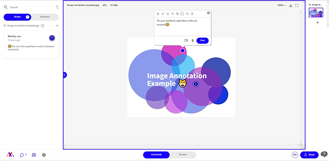 An example of image annotation on MarkUp.io